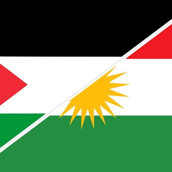 Kurd/Palestine Flags